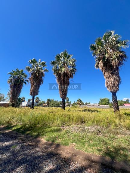 Terreno en Venta en Maipu, Mendoza