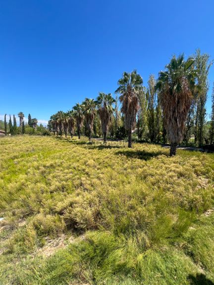 Terreno en Venta en Maipu, Mendoza