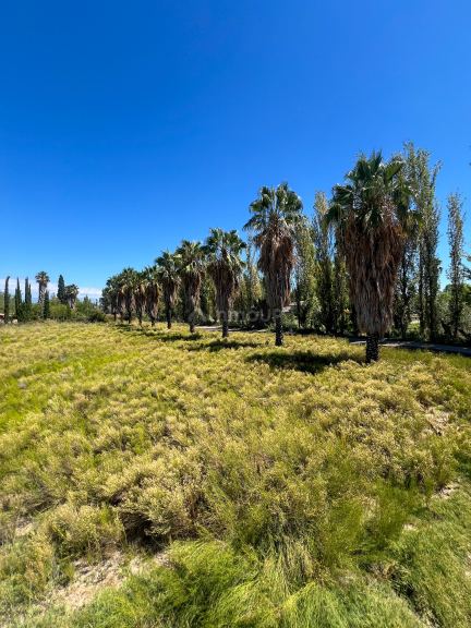 Terreno en Venta en Maipu, Mendoza
