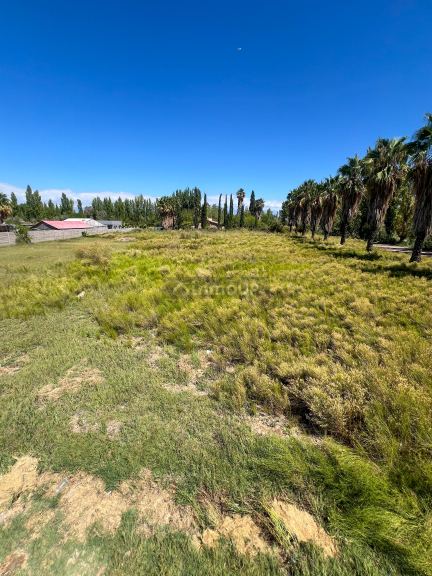 Terreno en Venta en Maipu, Mendoza