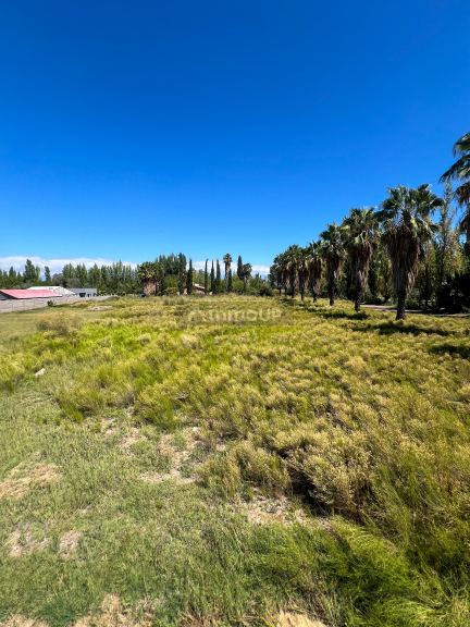Terreno en Venta en Maipu, Mendoza