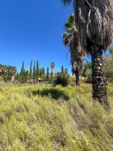 Terreno en Venta en Maipu, Mendoza