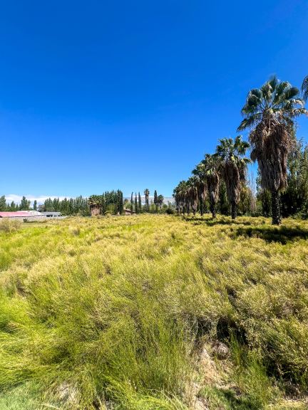 Terreno en Venta en Maipu, Mendoza