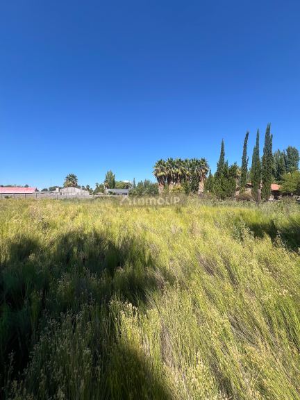 Terreno en Venta en Maipu, Mendoza