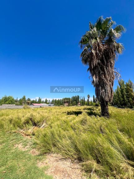 Terreno en Venta en Maipu, Mendoza