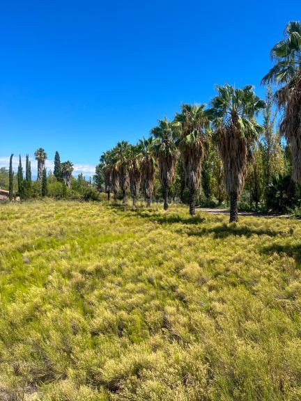 Terreno en Venta en Maipu, Mendoza