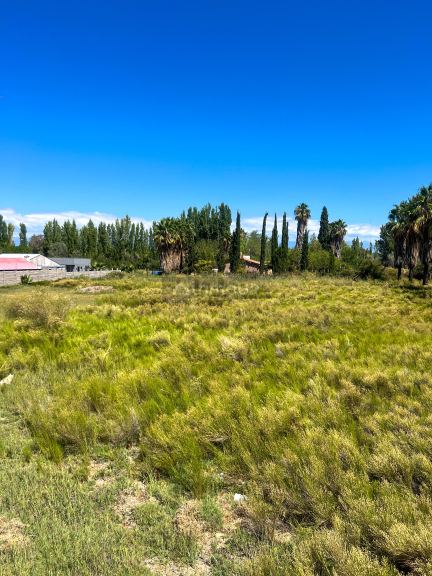 Terreno en Venta en Maipu, Mendoza