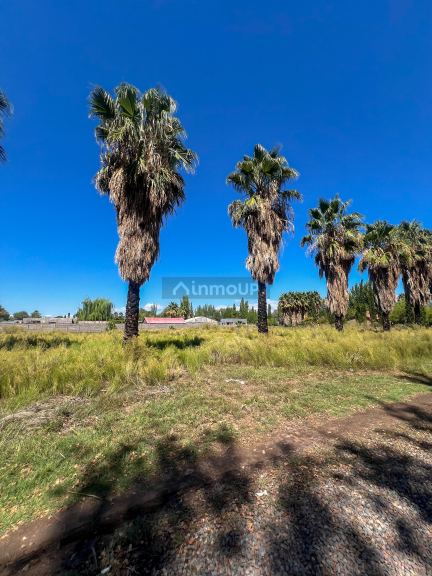 Terreno en Venta en Maipu, Mendoza