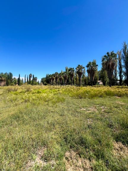 Terreno en Venta en Maipu, Mendoza