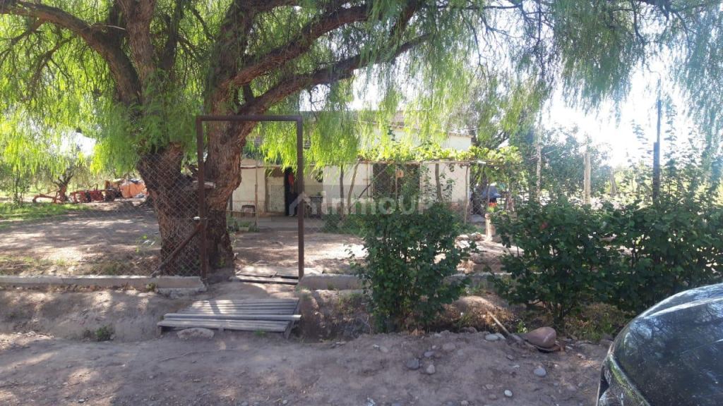Finca en Venta en Maipu, Mendoza
