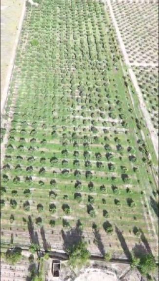 Finca en Venta en Maipu, Mendoza