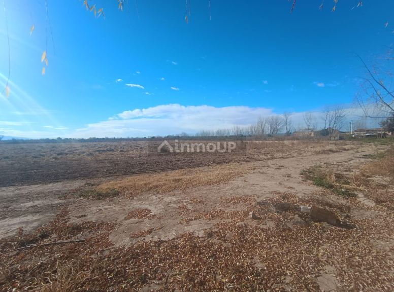Lujan de Cuyo Ruta provincial 85