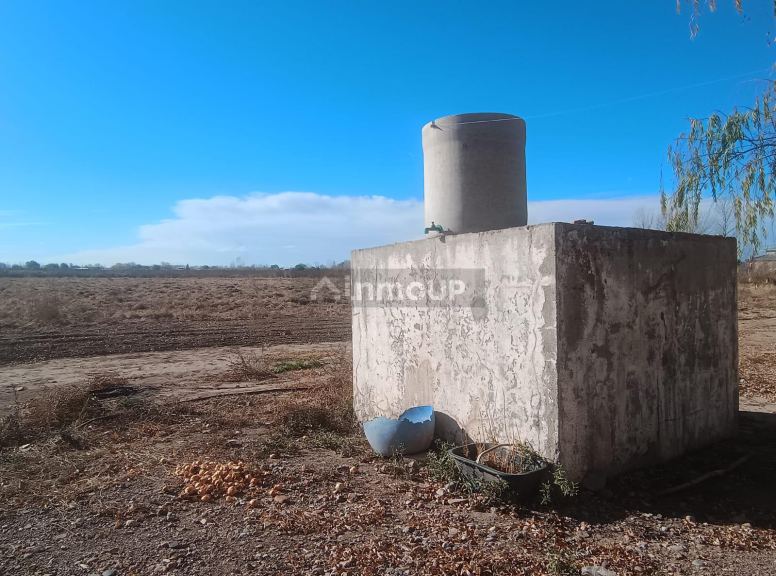 Finca en Venta en Lujan de Cuyo, Mendoza