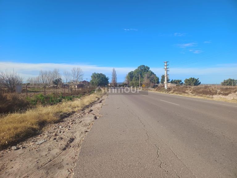 Finca en Venta en Lujan de Cuyo, Mendoza