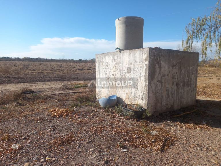 Finca en Venta en Lujan de Cuyo, Mendoza