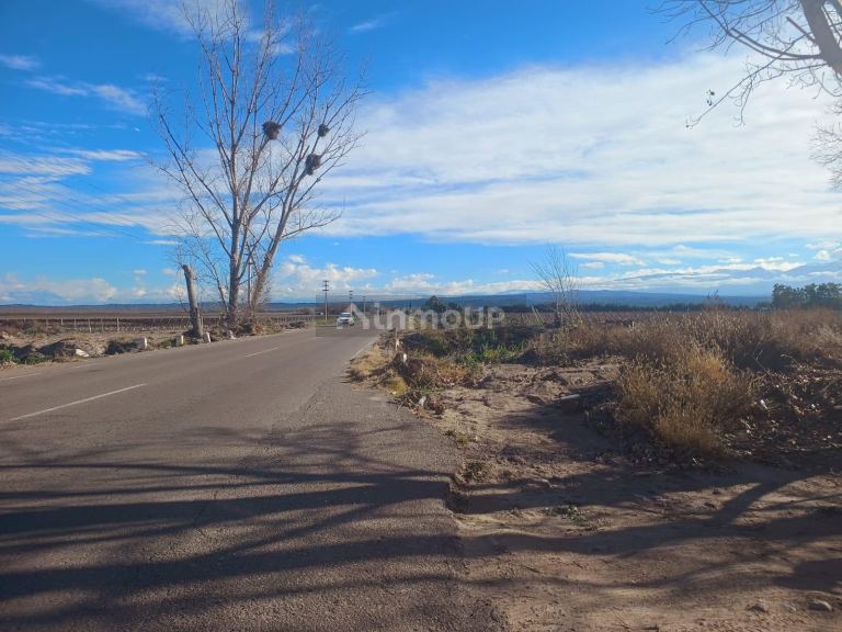 Lujan de Cuyo Ruta provincial 85