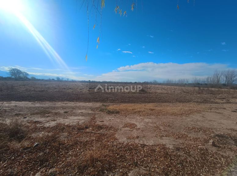 Lujan de Cuyo Ruta provincial 85