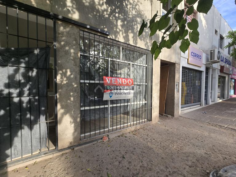 Local Comercial en Venta en Lujan de Cuyo, Mendoza