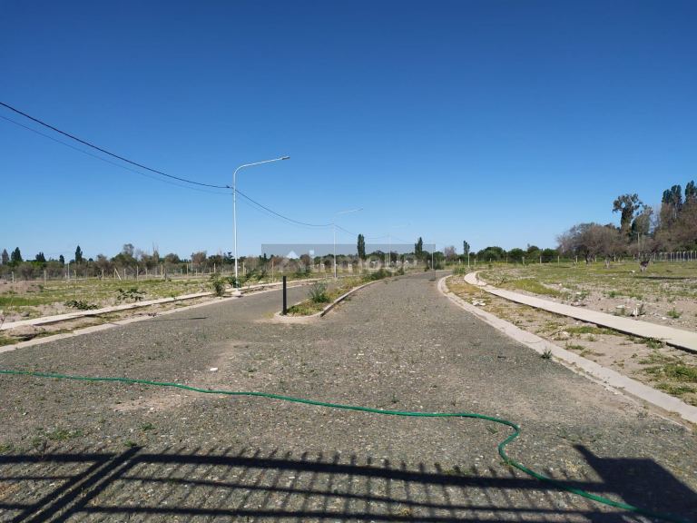 Lote en Venta en Lujan de Cuyo, Mendoza