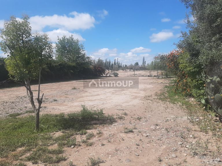 Lote en Venta en Lujan de Cuyo, Mendoza