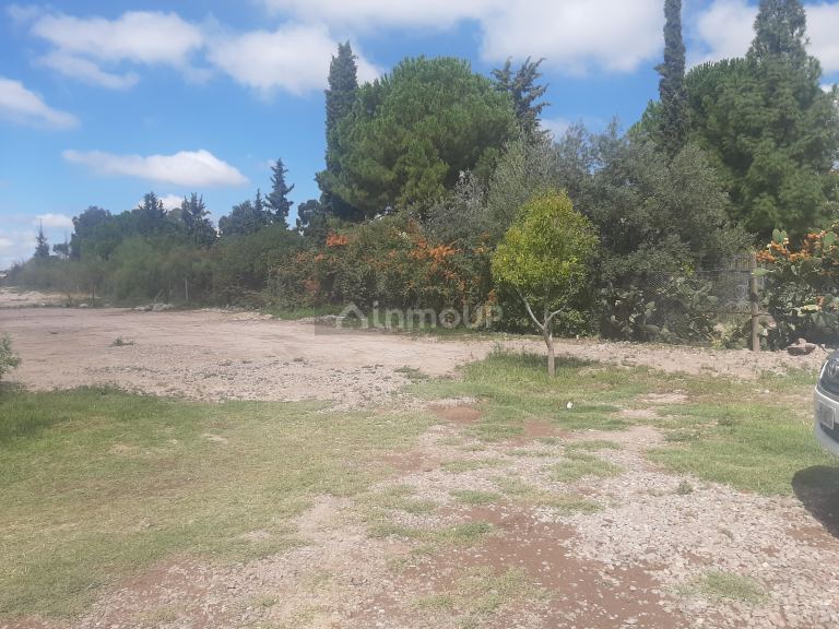 Lote en Venta en Lujan de Cuyo, Mendoza