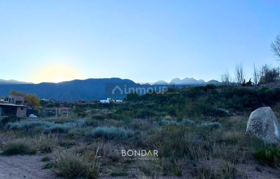 Terreno en Venta en Lujan de Cuyo, Mendoza
