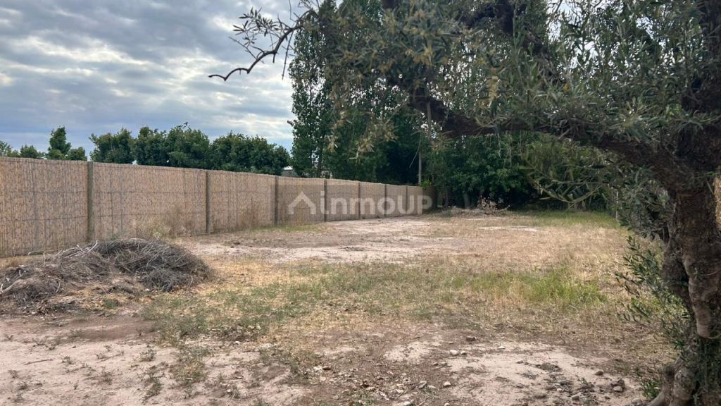 Lote en Venta en Lujan de Cuyo, Mendoza